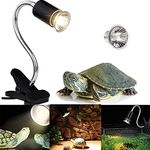 Heating Lamps For Plants