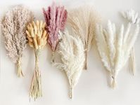 120 PCS Natural Dried Fluffy Pampas Grass Bouquet Pampas Grass Decor Artificial Pampas Grass Home Decor Dried Flowers and Swinging DIY Boho Plant for Floral Arrangements Decorations