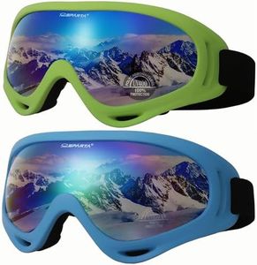 Ski Goggle