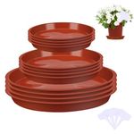 Xialvyu 12Pcs Plant Pot Saucers with White Label, Plastic Plant Saucer Plant Tray Flower Pot Drip Tray for Indoor Outdoor Garden Plants (14 cm/16cm/24cm, Red)