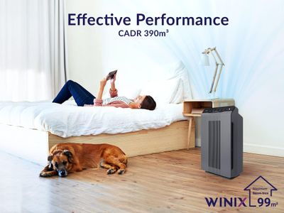WINIX 5300-2 Air Purifier – True HEPA Filter for Large Rooms