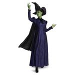 Disguise Wicked Costume Adult Deluxe Character 2, S (4-6)