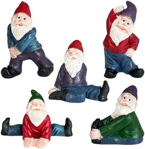 Fayemint 5 Piezas Gnomo Divertido Jardin, Estatua Divertida Jardín Resina, Estatua Jardín Gnomos, para Decoración Césped, Accesorios Jardín, Adornos Mesa