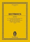 Septet: For Violin, Viola, Violoncello, Double-bass, Clarinet, Horn and Bassoon (Edition Eulenburg No. 12)