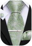 Barry.Wang Sage Green Ties Men's Skinny Paisley Wedding Necktie Silk Handkerchief Cufflinks Tie Clip Set 4PCS for Formal Prom