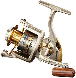 Diwa Spinning Fishing Reels for Saltwater Freshwater 1000 2000 3000 4000 5000 6000 Series Fishing Spool Left/Right Interchangeable Trout Carp Spinning Reel 10 Ball Bearings Light and Smooth (6000)