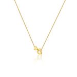 JECOMY Dainty Initial Necklaces for Women 14K Gold Plated Heart Letter Necklace Personalized Initial Heart Pendant Necklace G Necklace Tiny Letter Name Necklaces Gift for Girls