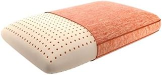 Beautyrest Memory Foam Silver Coppe