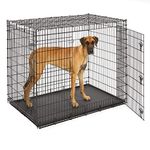 MidWest Homes for Pets XXL Dog Crate Ginormous 54-Inch Double Door Dog Crate Super Strong Crate for The Largest Dog Breeds - 54L x 37W x 45H Inches & Weighs 80.2 pounds