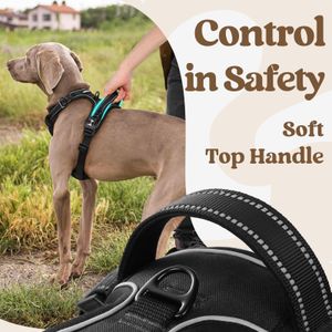 rabbitgoo Large Dog Harness – No-Pull Adjustable, Black