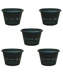 Kolkata Orchid Online ORCHID PLANT POT Plastic 8 Inch Orchid/Hydroponics Pot, Black, Set of 5 Pcs