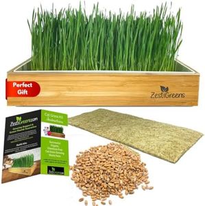 Self-Watering Cat Grass Kit. Hands Down The Easiest Way to Grow Cat Grass. Everything Included to Grow a Large Crop of Delicious Cat Grass.