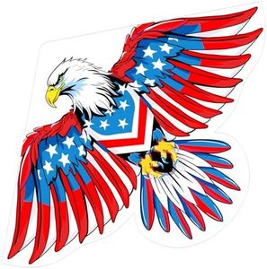 HONBO Eagle Kite, America Flag Kite for Kids and Adults. Wonderful Beginner Kite for Boys and Girls, Suitable for Ages 8-12, Best Single Line Kites Comes with 200ft String and Handle(Eagle)