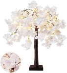 obbsie 24 Inch Lighted Cherry Bloss