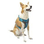 Kurgo Dog Harness for Medium, & Small Active Dogs, Pet Hiking Harness for Running & Walking, Everyday Harnesses for Pets, Reflective, Journey Air, Blue/Grey 2018, Large