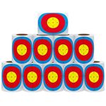Aleplay 3" Shooting Target Practice Stickers Archery Targets, Range Bullseye Target Dots for BB Gun Rifle Pistol Airsoft Pellet Gun Air Rifle - 100 Per Roll(10 Rolls) (10 Rolls)