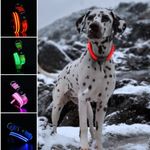 Pawesome Pets UK - LED Light Up Dog Collar – USB Rechargeable – Waterproof – Choose Ultimate Visibility – Red, Small