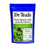 Dr Teal's Pure Epsom Bath Salt Soak, Relax & Relief with Eucalyptus & Spearmint, 450g