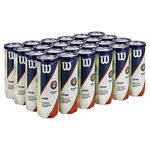 Wilson Roland Garros Clay Court Tennis Balls Case of 24 Cans / 72 Balls