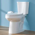 HOMLYLINK Elongated Tall Toilet 19 