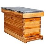MayBee 5-Frame Nuc Beehive for Bees