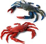 DOYIFun Realistic Crab Marine Animal Model Toys, 2 Pcs Simulated Sea Life Animals Figurine Collection Sea Creature Science Educational Props Toys