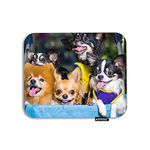 AOYEGO Bulldog Mouse Pad Cute Dogs Chihuahua Dachshund Sitting in Wheelchair Gaming Mousepad Rubber Large Pad Non-Slip for Computer Laptop Office Work Desk 9.5x7.9 Inch
