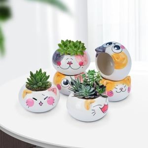 Small Cat Succulent Pots with Drainage Hole Set of 6 Pieces, Indoor Succulent Planters Cactus Planter Mini Cute Ceramic Cat Pots for Gift Home Office Desktop Decoration Gift Idea