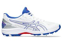 ASICS Mens Strike Rate FF White/Pure Silver Cricket Shoe - 10 UK (1111A067.106)