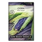 Sow Right Seeds - Blue Hopi Corn Se