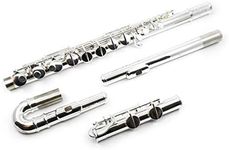 Di Zhao Alto Flute