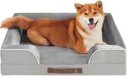 Codi Medium Memory Foam Layer Dog B