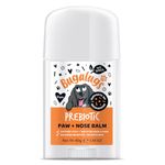 Bugalugs Prebiotic Dog nose balm, Natural lick safe Paw balm for dogs contains Pumpkin Powder for itchy skin and supports your dogs Microbiome (Prebiotic Paw & Nose Balm)