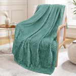 Exclusivo Mezcla Extra Large Flannel Fleece Throw Blanket, 50x70 Inches Leaves Pattern Soft Throw Blanket for Couch, Cozy, Warm, and Lightweight Blanket All Season Use, Celadon Blanket