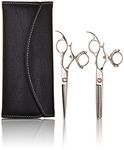 SHEARSDIRECT Cutting Shear and Tooth Thinner Set