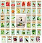 Set of 43 Assorted Vegetable & Herb