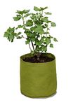 Vigoroot Vegetable Planter Grow Bags, 20 Liters Vigoroot Pots, 3-Pack - Patented Air Interface System, Promotes Strong Root Growth and Makes Plants Resistant from Harsh Weather, Pests & Diseases