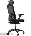 Desktronic Adjustable Ergonomic Office Chair | Desk Chair with headrest, armrests, lumbar support, height adjustments - Designed for European body - Breathable Mesh - Spacious seating(Black)