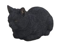 Vivid Arts Black Dreaming Cat B size