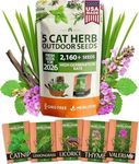 HOME GROWN 2100+ Cat Grass Seeds - Catnip Seeds, Lemongrass, Licorice, Thyme Seeds, Valerian - Grow Cat Grass for Indoor Cats - Cat Grass Seeds Bulk - Refill Cat Growing Grass Kit