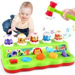 Yerloa Interactive Pop Up Animals Eggs Toy with Music & Sound, Early Developmental Educational Toys for 1 Year Old Boy Girl Birthday Gift, Sensory Pop Up Toys for Toddlers 1-3 Baby 6 9 12 18 Month Old