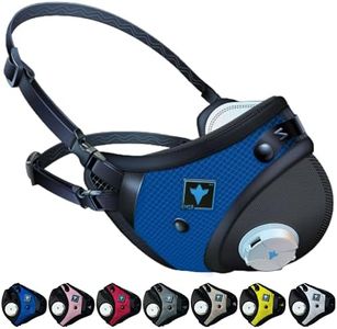 RZ Mask RZ