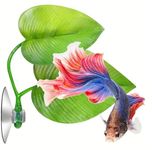 VAYINATO® 1 Pcs Double Leaf Betta Rest Area Plant Pad Simulating The Natural Habitat for Betta Spawning Grounds Breeding Bed | No Harm to Fish By Petzlifeworld