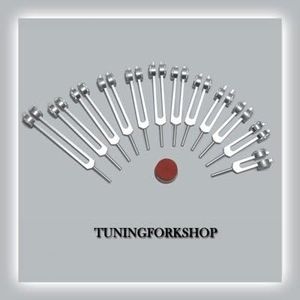 TFS TUNINGFORKSHOP 12 Pc Song Of The Spine Tuning Fork For Healing With Activator and Pouch