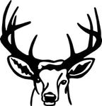 Deer/Buck Animal Head – Hunting Hun