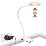 CeSunlight Clip Light, 8W Clamp Bed Lamp, Bedside Led Reading Lamp for Headboard, Desk, Warm, Daylight and White Light 3 Colors, Eye-Care 10 Dimmable Illumination Modes (White)