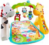 Fisher-Price Newborn toToddler Play Gym, Multi