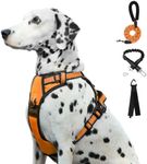 FURRYFECTION Dog Harness | No Pull Dog Harness | Reflective Oxford | Padded Handle | 4 Adjustable Straps | 2 Leash Clips | No Choke Pet Vest Harness for Small Medium Large Dogs | Orange | L