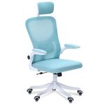 Alex Daisy Flexo Ergonomic Office Chair/Study Chair/Computer Chair (with Headrest, Blue)