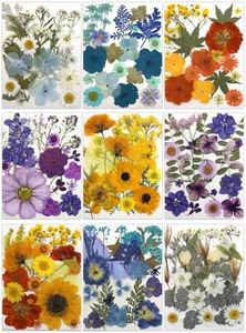 180Pcs Dried Pressed Flowers, Natural Dried Flowers Bulk for Resin, Mixed Color Dried Flowers for DIY Crafts, Candle Holders, Nails, Epoxy Resin Jewelry, Floral DIY Art, Decor, DIY Supplies Kits